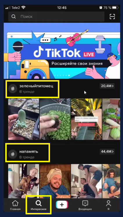 Тренды и Интересное в TikTok
